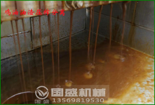 家禽廢棄物壓榨脫水